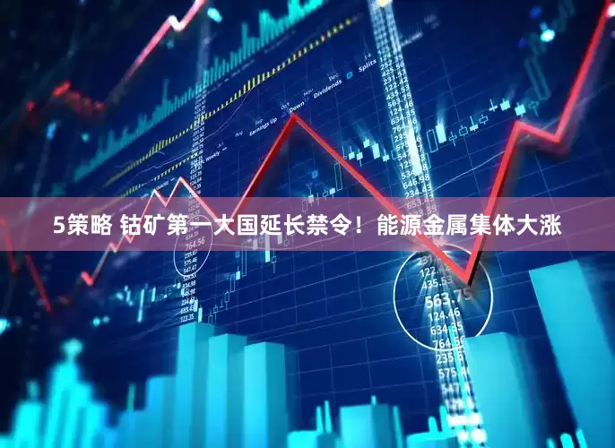 5策略 钴矿第一大国延长禁令！能源金属集体大涨