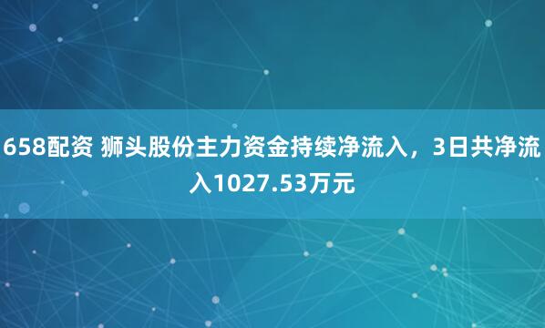658配资 狮头股份主力资金持续净流入，3日共净流入1027.53万元