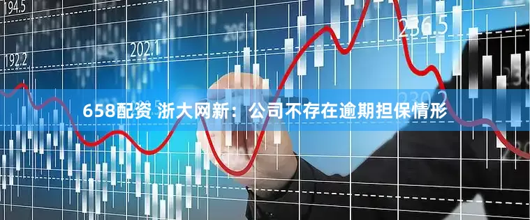 658配资 浙大网新：公司不存在逾期担保情形