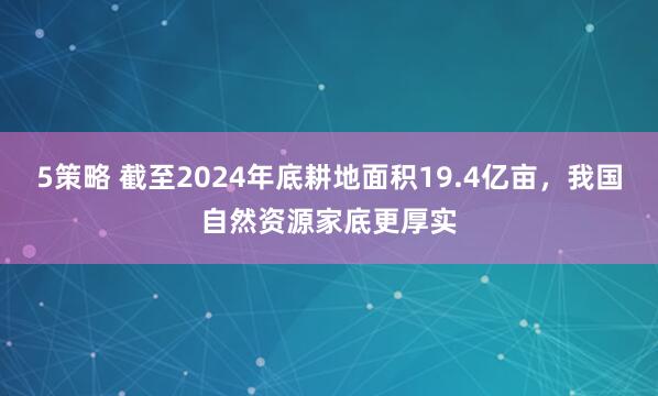 5策略 截至2024年底耕地面积19.4亿亩，我国自然资源家底更厚实